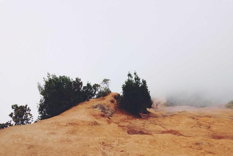 Restores skin firmness