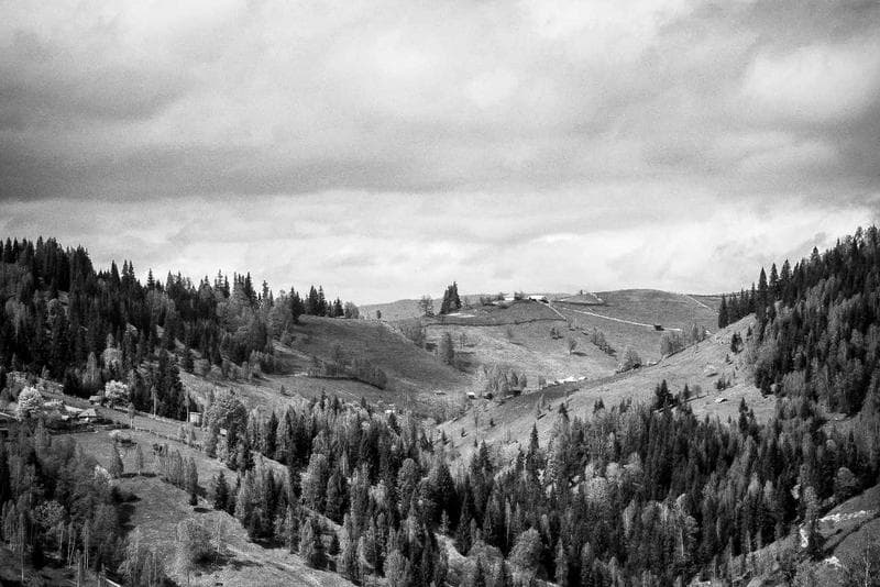 Perfect maintenance peel