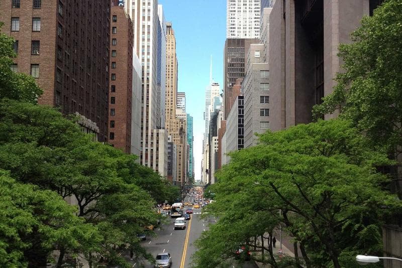 Tightens enlarged pores